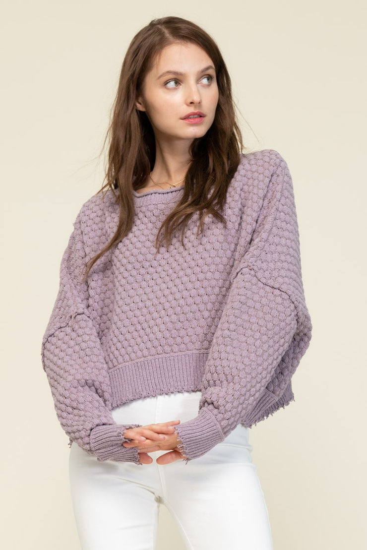 Cj Cruz Tayla Sweater in Lavender